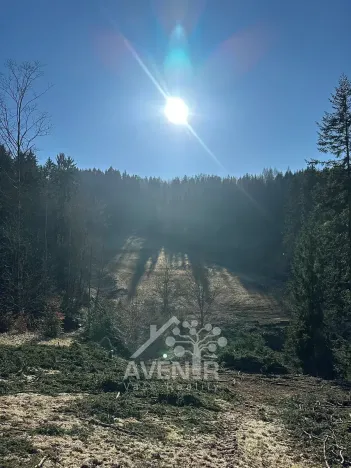 Prodej louky, Bozkov, 15029 m2