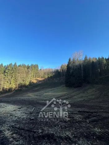 Prodej louky, Bozkov, 15029 m2