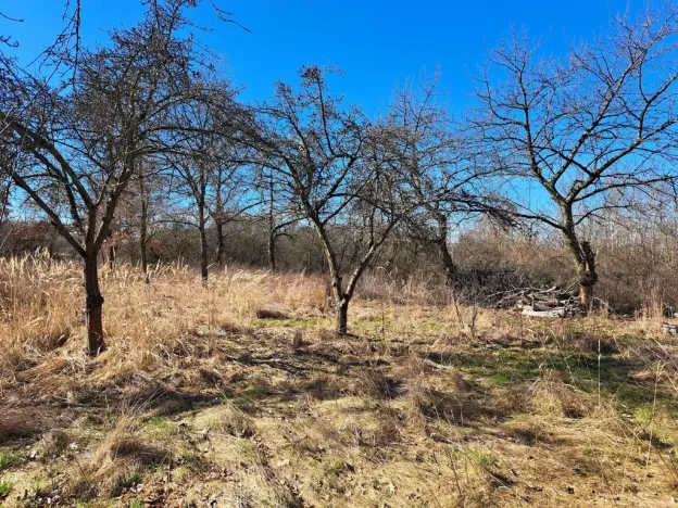Pronájem zahrady, Smečno, Přelícká, 2508 m2