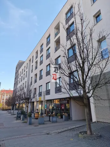 Pronájem bytu 2+kk, Olomouc, Wolkerova, 58 m2