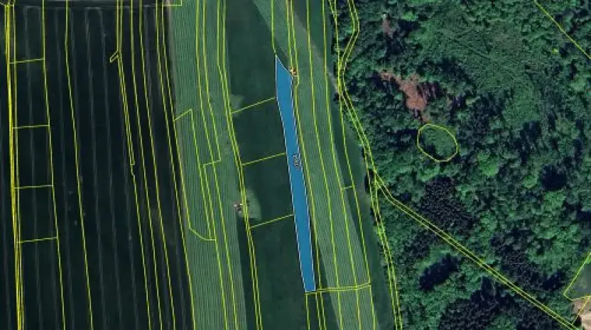 Prodej pole, Polička, 3639 m2