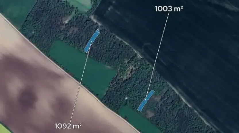 Prodej podílu lesa, Morašice, 698 m2