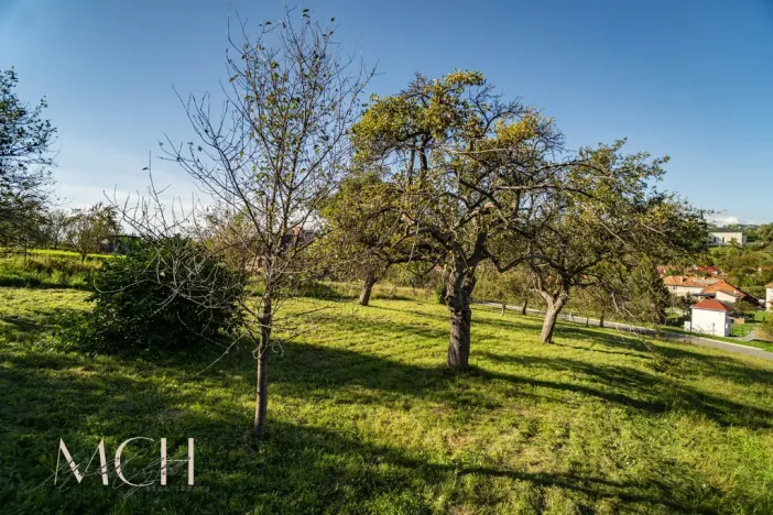 Prodej pozemku pro bydlení, Pitín, 1356 m2