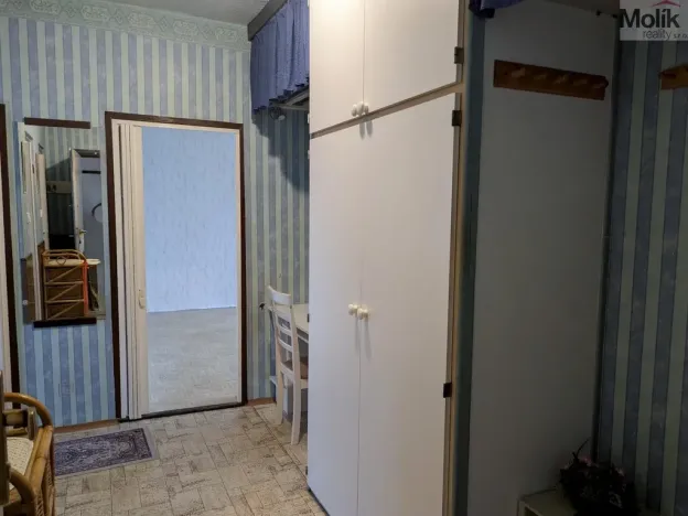 Prodej bytu 2+1, Bílina - Teplické Předměstí, M. Švabinského, 55 m2