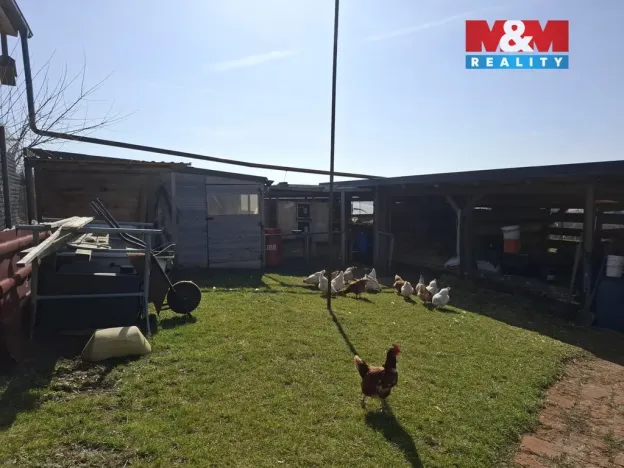 Prodej pole, Pohořelice - Smolín, 9944 m2