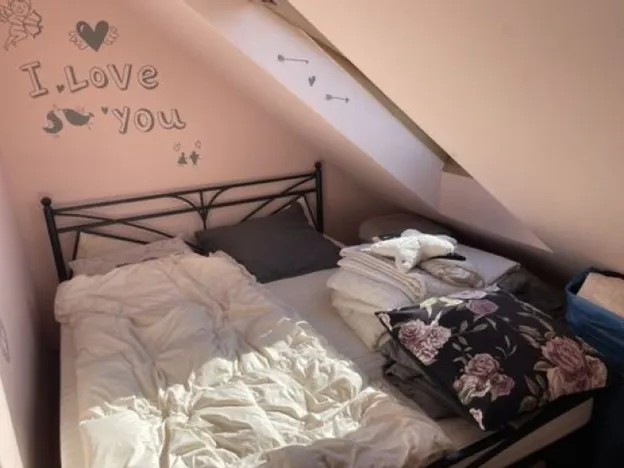 Dražba bytu 2+kk, Hradec Králové - Pražské Předměstí, Horova, 93 m2