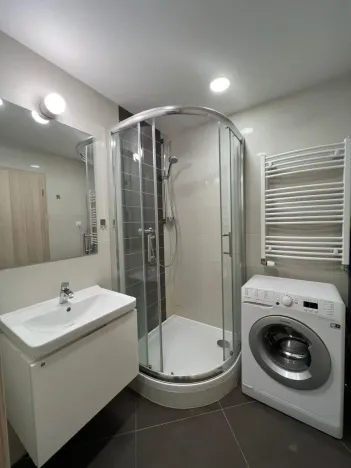 Pronájem bytu 1+kk, Praha - Vršovice, Petrohradská, 30 m2