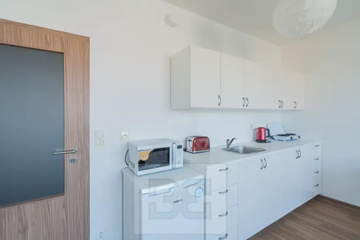 Pronájem bytu 1+kk, Praha - Černý Most, Rudolfa Holeky, 38 m2