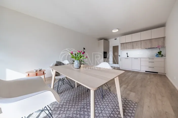 Pronájem bytu 1+kk, Praha - Hloubětín, Poděbradská, 39 m2