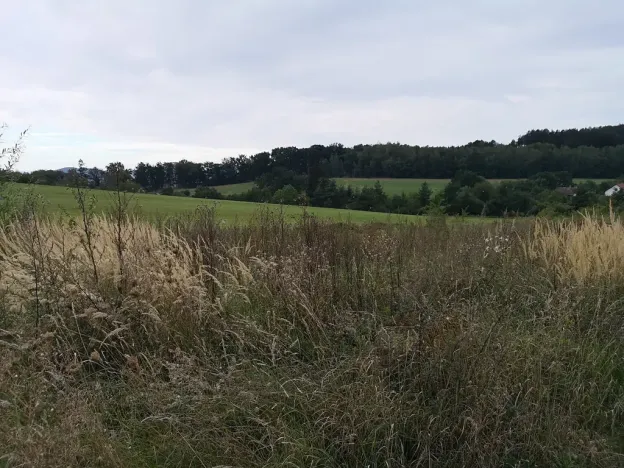 Prodej pozemku pro bydlení, Radomyšl, 850 m2