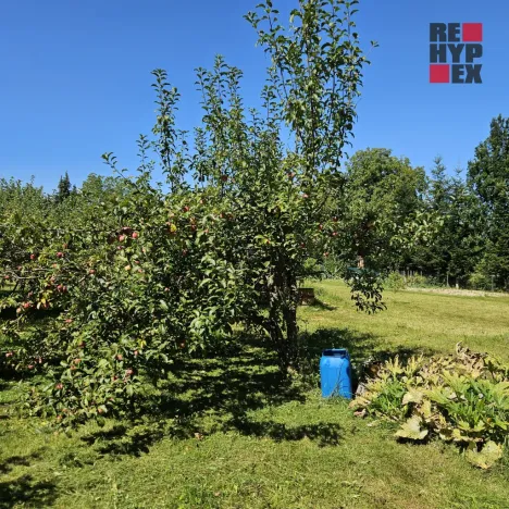 Pronájem zahrady, Turnov, Zámecká, 1962 m2