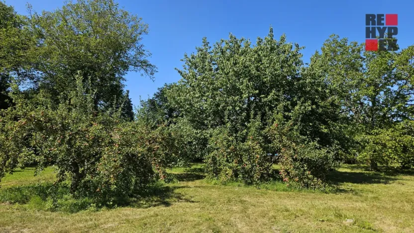 Pronájem zahrady, Turnov, Zámecká, 1962 m2