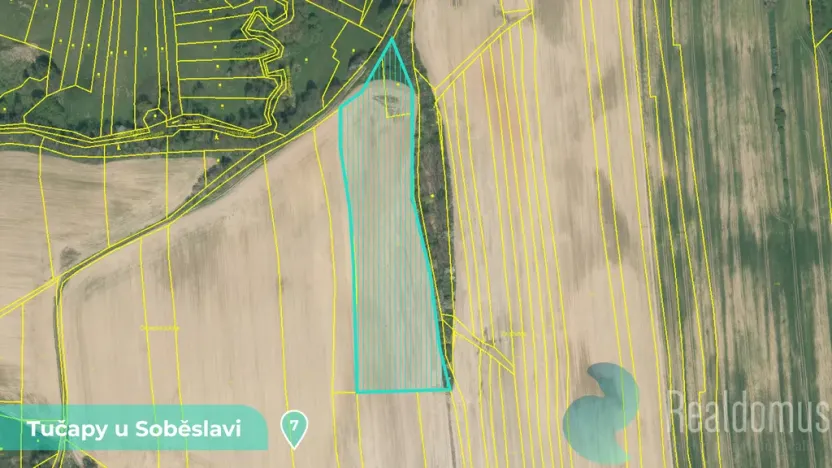 Prodej podílu 1/8 louky, Tučapy, 11561 m2