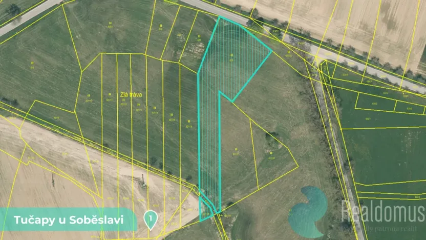 Prodej podílu 1/8 louky, Tučapy, 11561 m2
