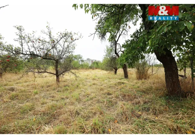 Prodej zahrady, Olomouc, Hollarova, 2281 m2