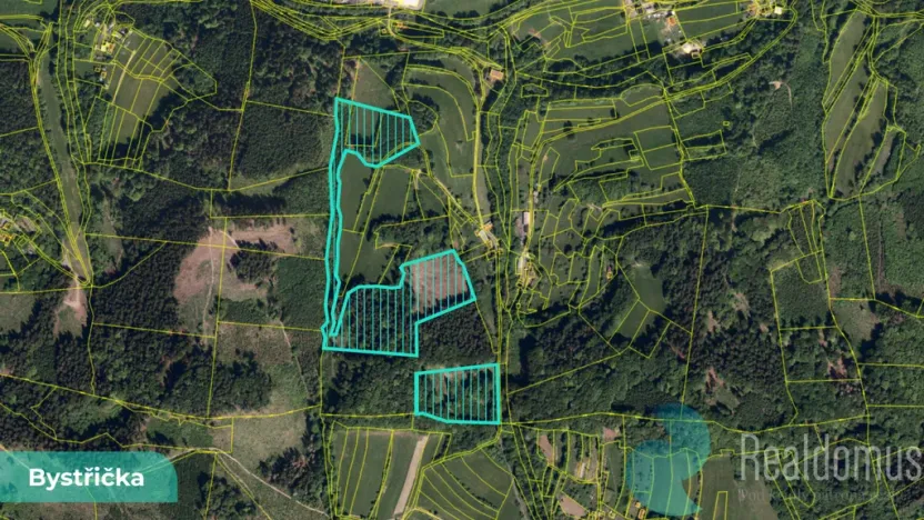 Prodej podílu 4/10 lesa, Bystřička, 16784 m2