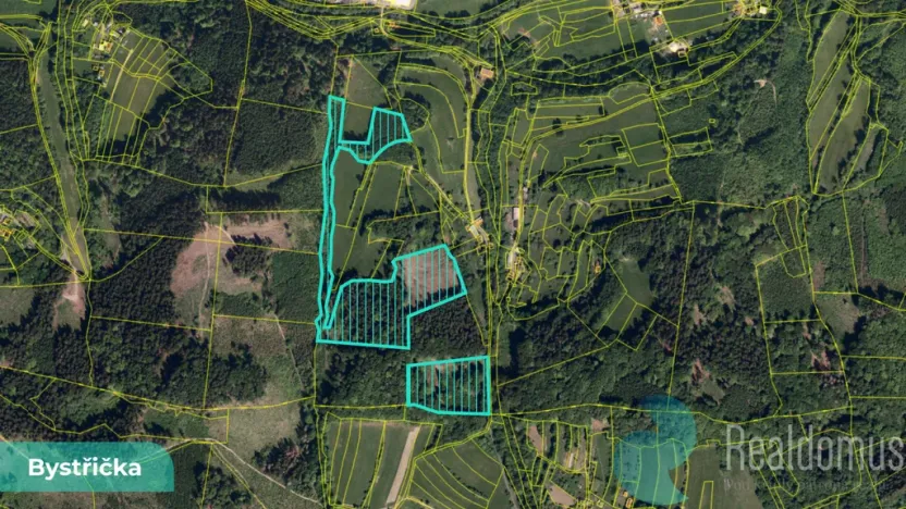 Prodej podílu 4/10 lesa, Bystřička, 16784 m2