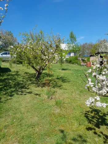 Pronájem zahrady, Běloky, 376 m2