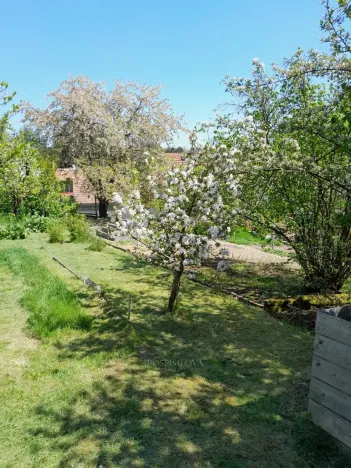 Pronájem zahrady, Běloky, 376 m2