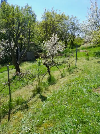 Pronájem zahrady, Běloky, 376 m2