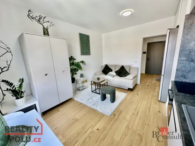 Pronájem bytu 1+kk, Brno - Zábrdovice, Bratislavská, 24 m2