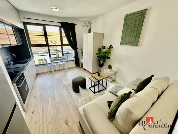 Pronájem bytu 1+kk, Brno - Zábrdovice, Bratislavská, 24 m2