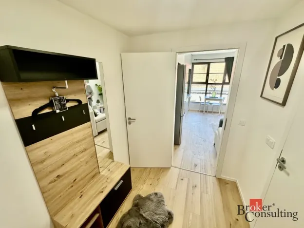 Pronájem bytu 1+kk, Brno - Zábrdovice, Bratislavská, 24 m2