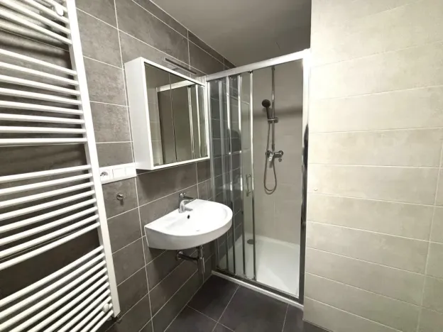 Pronájem bytu 1+kk, Plzeň - Východní Předměstí, Papírnická, 29 m2