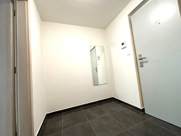 Pronájem bytu 1+kk, Plzeň - Východní Předměstí, Papírnická, 29 m2