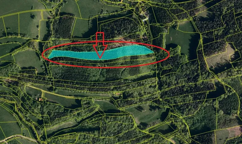 Prodej lesa, Lutonina, 18019 m2