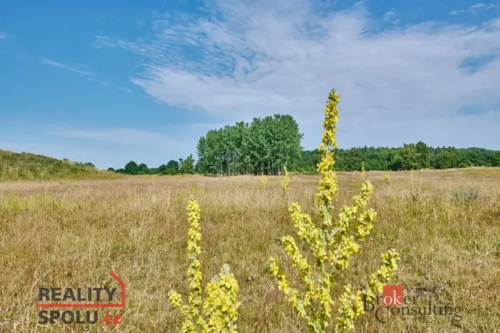 Pronájem bytu 3+1, Mladá Boleslav - Mladá Boleslav II, Na Radouči, 78 m2