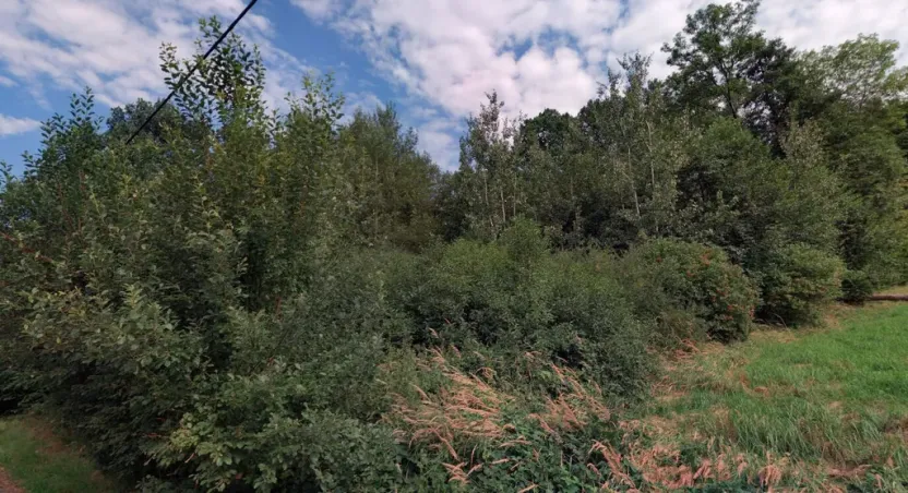 Prodej louky, Vápenná, 2625 m2