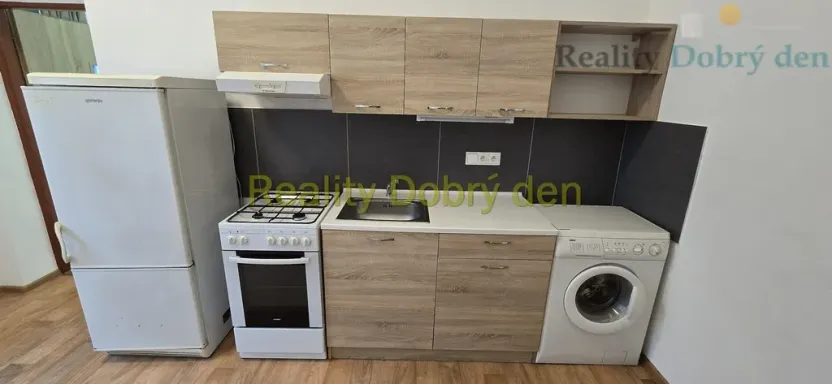 Pronájem bytu 1+1, Opava, Mánesova, 42 m2