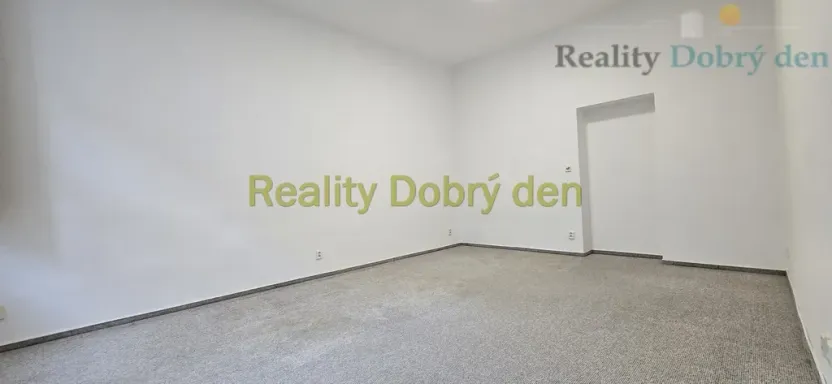 Pronájem bytu 1+1, Opava, Mánesova, 42 m2