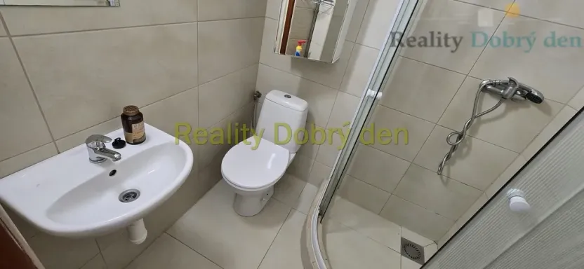 Pronájem bytu 1+1, Opava, Mánesova, 42 m2