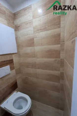 Pronájem bytu 3+1, Planá, Fučíkova, 60 m2