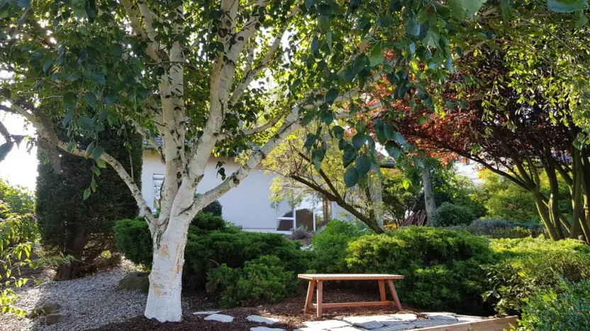 Pronájem rodinného domu, Popovičky, Na Skalce, 242 m2