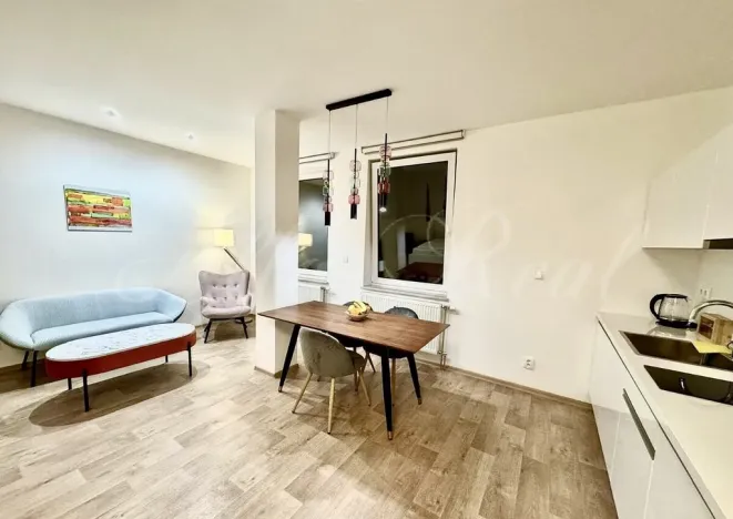 Pronájem bytu 1+kk, Brno - Brno-město, Kobližná, 50 m2