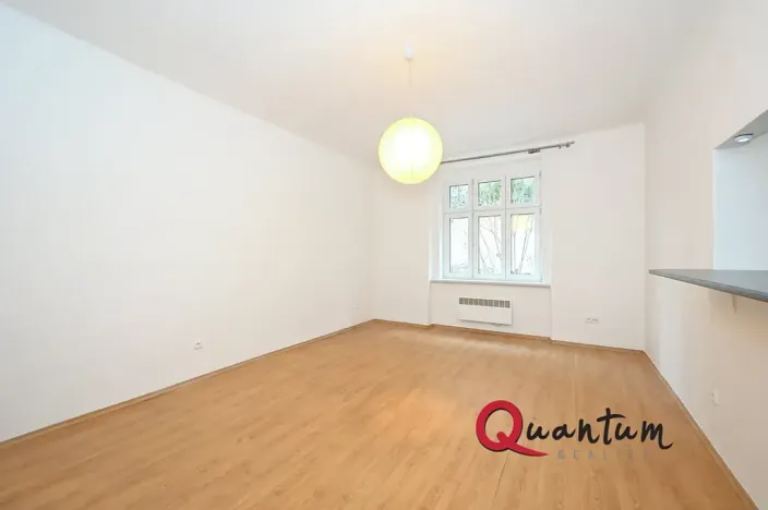 Pronájem bytu 1+kk, Praha - Nusle, Boleslavova, 30 m2