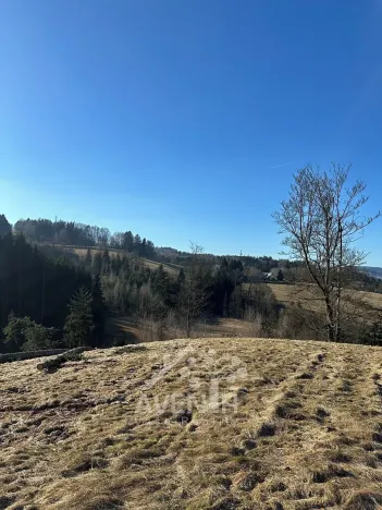 Prodej louky, Bozkov, 14441 m2