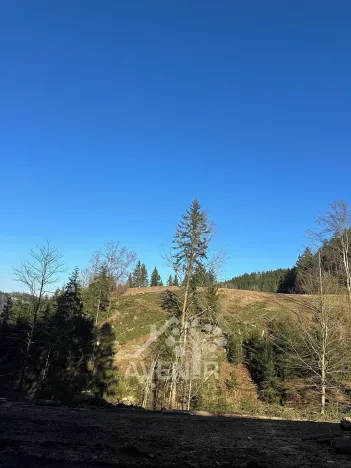 Prodej louky, Bozkov, 14441 m2