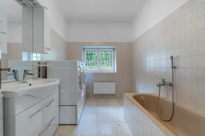 Prodej rodinného domu, Družec, V Zátiší, 289 m2