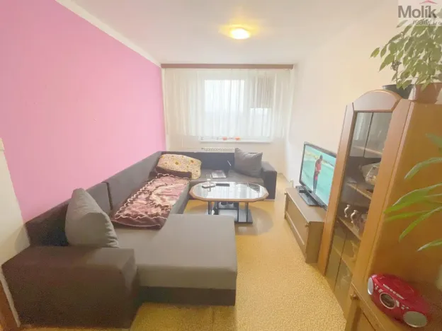 Prodej bytu 2+kk, Litvínov - Janov, Hamerská, 39 m2