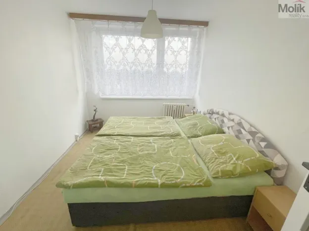 Prodej bytu 2+kk, Litvínov - Janov, Hamerská, 39 m2