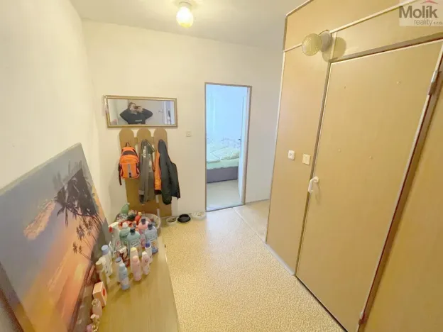 Prodej bytu 2+kk, Litvínov - Janov, Hamerská, 39 m2