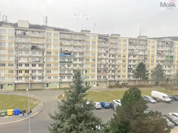 Prodej bytu 2+kk, Litvínov - Janov, Hamerská, 39 m2