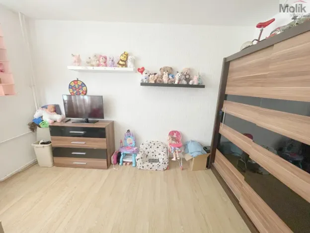 Prodej bytu 2+1, Most, tř. Budovatelů, 51 m2