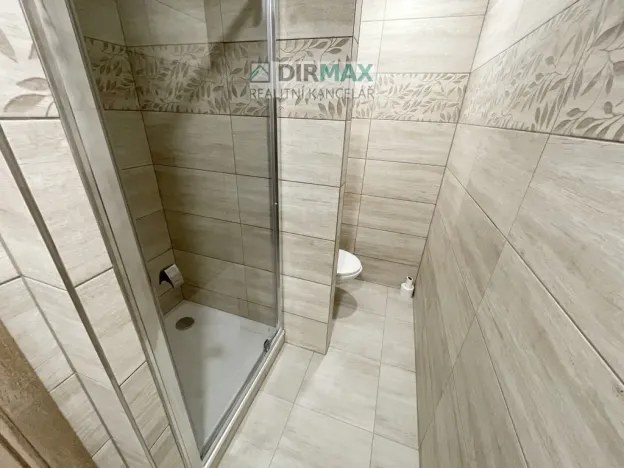 Pronájem bytu 1+1, Třemošná, Budovatelská, 40 m2