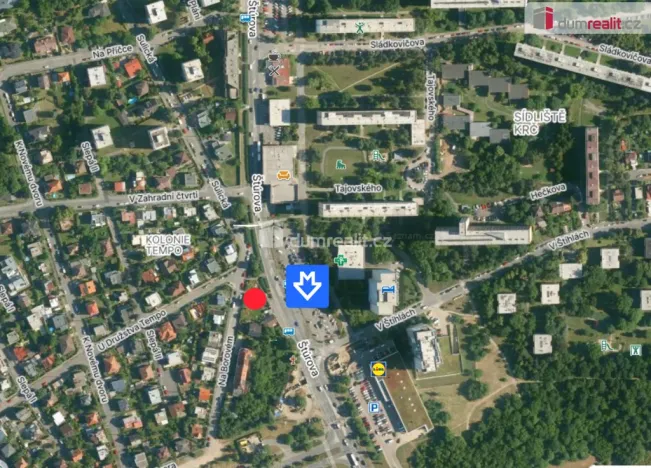 Pronájem obchodního prostoru, Praha, Štúrova, 132 m2