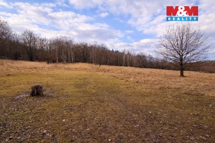 Prodej pozemku pro bydlení, Křečovice - Vlkonice, 68525 m2